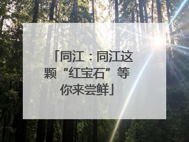 同江：同江这颗“红宝石”等你来尝鲜