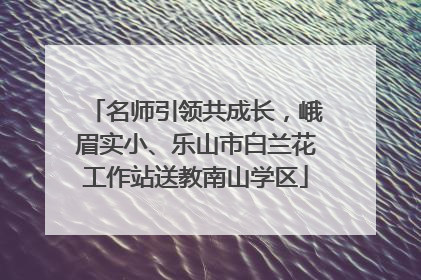 名师引领共成长，峨眉实小、乐山市白兰花工作站送教南山学区