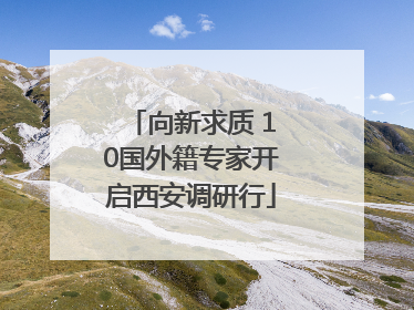向新求质 10国外籍专家开启西安调研行