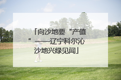 向沙地要“产值”——辽宁科尔沁沙地兴绿见闻