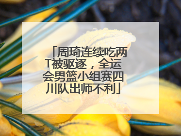 周琦连续吃两T被驱逐，全运会男篮小组赛四川队出师不利