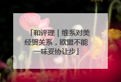 和评理｜维系对美经贸关系，欧盟不能一味妥协让步