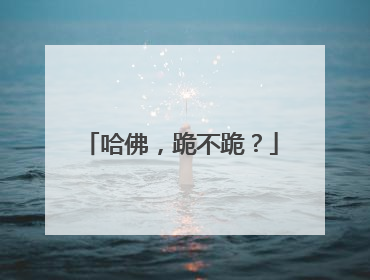 哈佛，跪不跪？