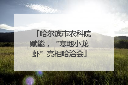 哈尔滨市农科院赋能，“寒地小龙虾”亮相哈洽会