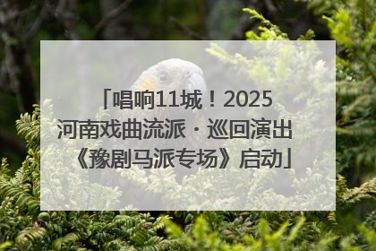 唱响11城！2025河南戏曲流派・巡回演出《豫剧马派专场》启动