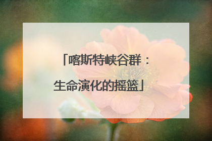 喀斯特峡谷群：生命演化的摇篮