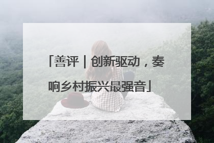 善评｜创新驱动，奏响乡村振兴最强音