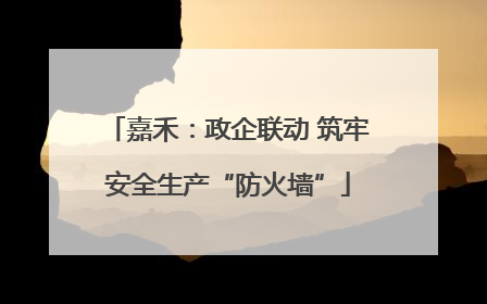 嘉禾：政企联动 筑牢安全生产“防火墙”
