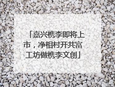 嘉兴槜李即将上市，净相村开共富工坊做槜李文创