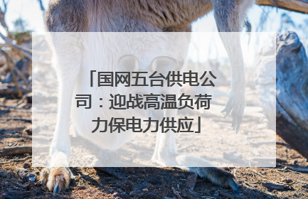 国网五台供电公司：迎战高温负荷 力保电力供应