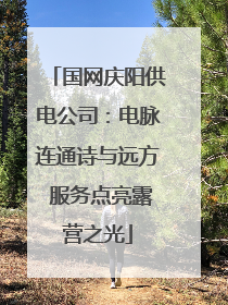 国网庆阳供电公司：电脉连通诗与远方 服务点亮露营之光