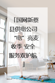 国网新蔡县供电公司“电”亮麦收季 安全服务双护航