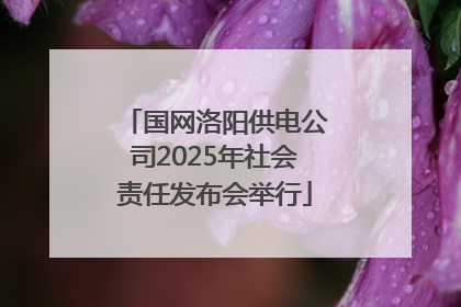 国网洛阳供电公司2025年社会责任发布会举行