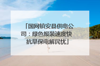 国网镇安县供电公司：绿色报装速度快 抗旱保电解民忧
