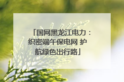 国网黑龙江电力：织密端午保电网 护航绿色出行路
