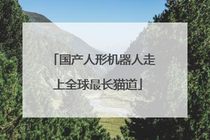 国产人形机器人走上全球最长猫道