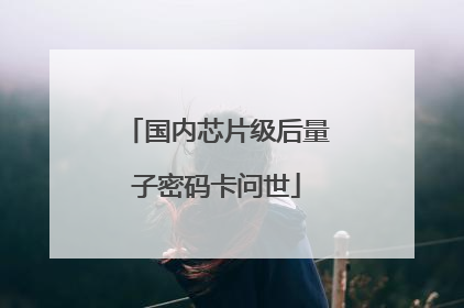国内芯片级后量子密码卡问世