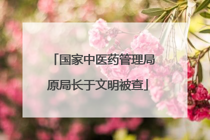 国家中医药管理局原局长于文明被查