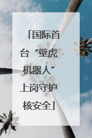 国际首台“壁虎机器人”上岗守护核安全