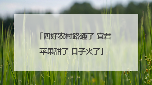 四好农村路通了 宜君苹果甜了 日子火了