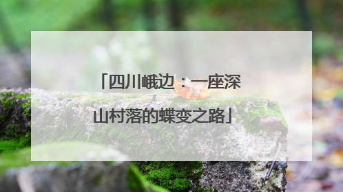 四川峨边：一座深山村落的蝶变之路