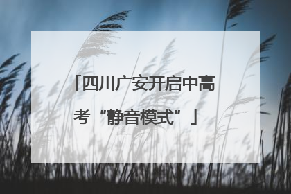 四川广安开启中高考“静音模式”