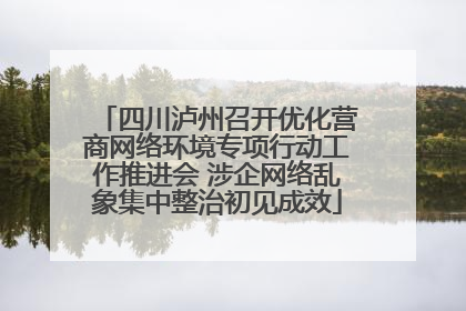 四川泸州召开优化营商网络环境专项行动工作推进会 涉企网络乱象集中整治初见成效