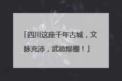 四川这座千年古城，文脉充沛，武德爆棚！