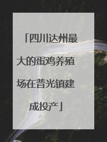 四川达州最大的蛋鸡养殖场在普光镇建成投产