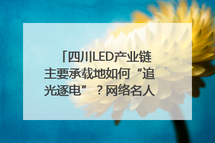 四川LED产业链主要承载地如何“追光逐电”？网络名人走进攀枝花找答案｜网络名人四川行
