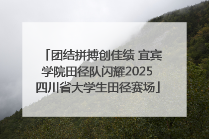 团结拼搏创佳绩 宜宾学院田径队闪耀2025四川省大学生田径赛场