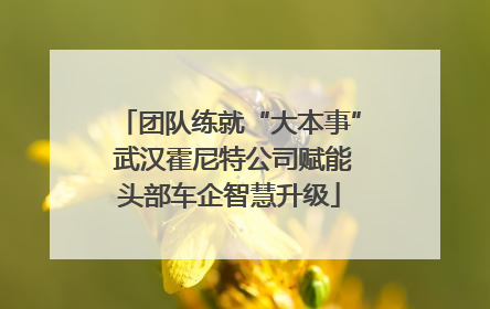 团队练就“大本事” 武汉霍尼特公司赋能头部车企智慧升级
