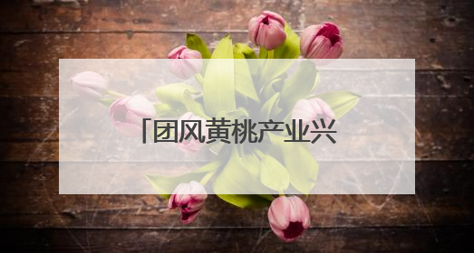 团风黄桃产业兴旺 助力127户村民增收致富