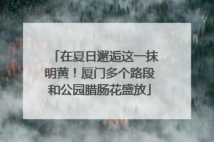 在夏日邂逅这一抹明黄！厦门多个路段和公园腊肠花盛放