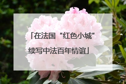 在法国“红色小城”续写中法百年情谊
