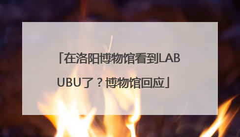 在洛阳博物馆看到LABUBU了？博物馆回应