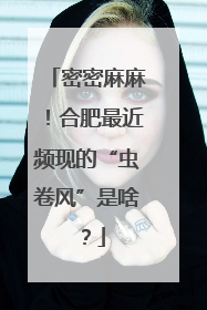 密密麻麻！合肥最近频现的“虫卷风”是啥？