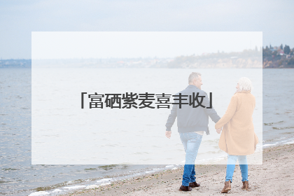 富硒紫麦喜丰收