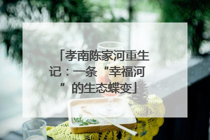 孝南陈家河重生记：一条“幸福河”的生态蝶变