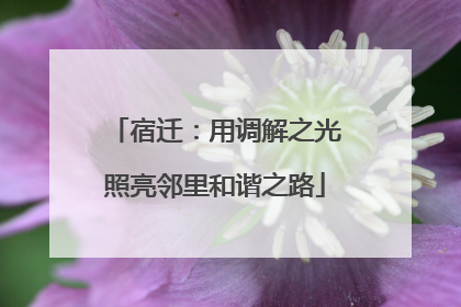 宿迁：用调解之光照亮邻里和谐之路