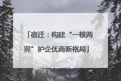 宿迁：构建“一核两翼”护企优商新格局