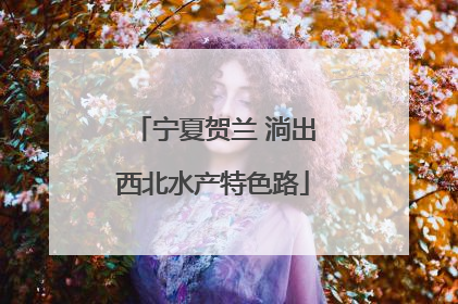 宁夏贺兰 淌出西北水产特色路