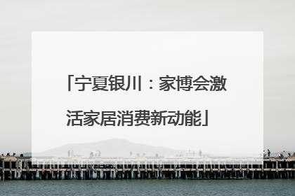 宁夏银川：家博会激活家居消费新动能