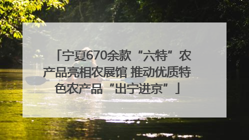 宁夏670余款“六特”农产品亮相农展馆 推动优质特色农产品“出宁进京”