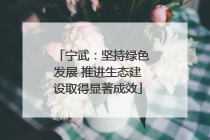 宁武：坚持绿色发展 推进生态建设取得显著成效