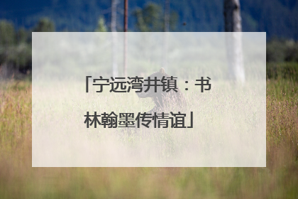 宁远湾井镇：书林翰墨传情谊