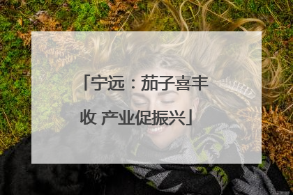 宁远：茄子喜丰收 产业促振兴