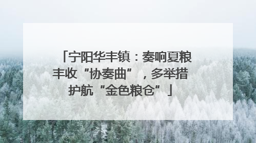 宁阳华丰镇：奏响夏粮丰收“协奏曲”，多举措护航“金色粮仓”
