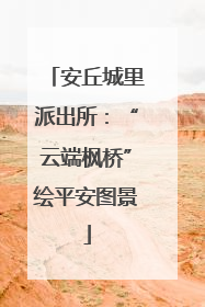 安丘城里派出所：“云端枫桥”绘平安图景