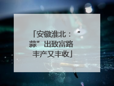 安徽淮北：“蒜”出致富路 丰产又丰收
